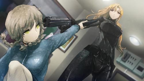 SteinsGate 111348,3